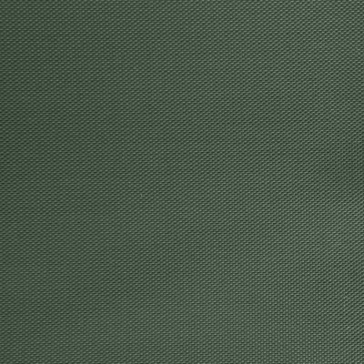 Оксфорд (Oxford) 240D 19-5917, PU/WR, 115 гр/м2, шир.150см, цвет т.зелёный - купить в Прокопьевске. Цена 152.54 руб.