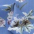 Плательная ткань "Фламенко" 12.1, 80 гр/м2, шир.150 см, принт растительный - купить в Прокопьевске. Цена 241.49 руб.