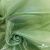Ткань органза, 100% полиэстр, 28г/м2, шир. 150 см, цв. #27 зеленый - купить в Прокопьевске. Цена 86.24 руб.