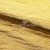 Текстильный материал "Диско"#1805 с покрытием РЕТ, 40гр/м2, 100% полиэстер, цв.5-золото - купить в Прокопьевске. Цена 412.36 руб.