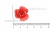 Украшение "Розы малые №1" 20мм - купить в Прокопьевске. Цена: 32.49 руб.