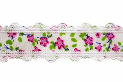 Тесьма декоративная 0385-6170, шир. 25 мм/уп. 22,8+/-1 м, цвет 02-розовый - купить в Прокопьевске. Цена: 364.70 руб.