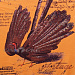 Трикотаж плательный "Peacock", 185 гр/м2, шир.150см
