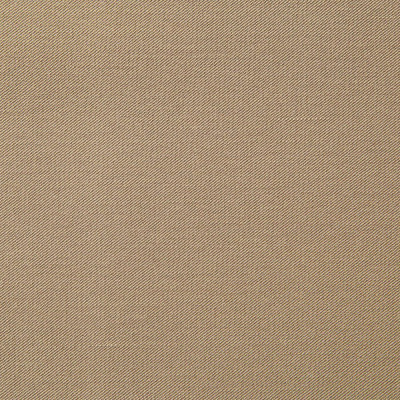 Костюмная ткань с вискозой "Меган" 18-1015, 210 гр/м2, шир.150см, цвет кофе милк - купить в Прокопьевске. Цена 380.91 руб.