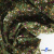 Ткань костюмная «Микровельвет велюровый принт», 220 г/м2, 97% полиэстр, 3% спандекс, ш. 150См Цв  #9 - купить в Прокопьевске. Цена 439.76 руб.