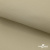 Ткань подкладочная TWILL 230T 14-1108, беж светлый 100% полиэстер,66 г/м2, шир.150 cм - купить в Прокопьевске. Цена 90.59 руб.
