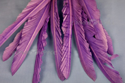 Декоративный Пучок из перьев, перо 25см/фиолетовый - купить в Прокопьевске. Цена: 12.19 руб.
