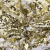 Трикотажное полотно, Сетка с пайетками, шир.130 см, #315, цв.-белый/золото - купить в Прокопьевске. Цена 693.39 руб.