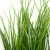 Трава искусственная -4, шт  (осока 50 см/8 см  7 листов)				 - купить в Прокопьевске. Цена: 130.73 руб.