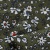 Плательная ткань "Фламенко" 11.2, 80 гр/м2, шир.150 см, принт растительный - купить в Прокопьевске. Цена 259.21 руб.