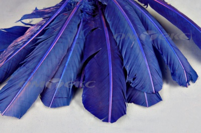 Декоративный Пучок из перьев, перо 23см/синий - купить в Прокопьевске. Цена: 12.34 руб.