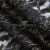 Кружевное полотно XD LACE 1-4, 80 гр/м2, шир.150см, цвет чёрный - купить в Прокопьевске. Цена 245.94 руб.